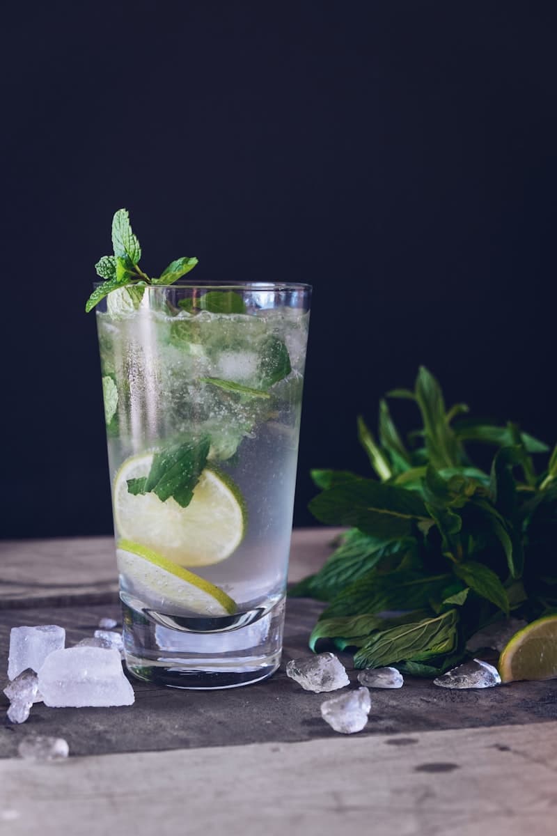 Lemon mojito